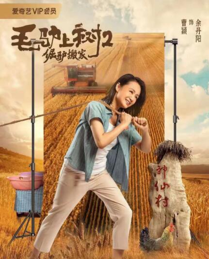BD高清免费观看