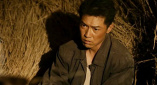 手机免费播放